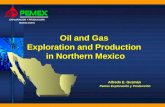 Oil and Gas  Exploration and Production  in Northern Mexico