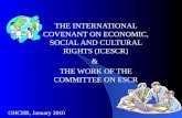 THE INTERNATIONAL COVENANT ON ECONOMIC, SOCIAL AND CULTURAL RIGHTS (ICESCR) &