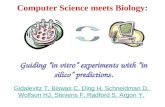 Computer Science meets Biology: Guiding “in vitro” experiments with “in silico” predictions.