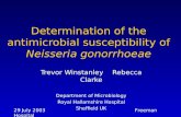 Determination of the  antimicrobial susceptibility of  Neisseria gonorrhoeae