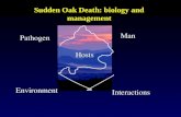 Sudden Oak Death: biology and management