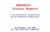 AMADEUS:  Status Report C. Curceanu and O. Vazquez Doce for the AMADEUS collaboration