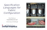 Specification Languages for Fabric Configuration
