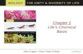 Chapter 2 Life ’ s  Chemical Basis