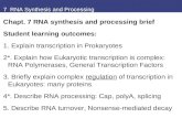 7  RNA Synthesis and Processing