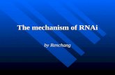 The mechanism of RNAi