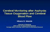 Cerebral Monitoring after Asphyxia: Tissue Oxygenation and Cerebral Blood Flow