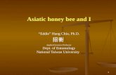 Asiatic honey bee  and I
