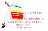 Fast Canopies How not to become a statistic and still have fun