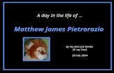 Matthew James Pietrorazio