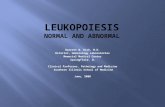 Leukopoiesis Normal and abnormal