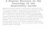 A Digital Resource on the Histology of the Respiratory System