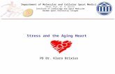 Stress and the Aging Heart