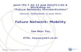 Future Network: Mobility