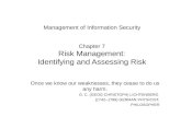 Management of Information Security Chapter 7 Risk Management:  Identifying and Assessing Risk