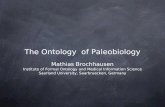 The Ontology  of Paleobiology