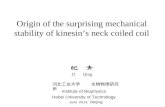 Origin of the surprising mechanical stability of kinesin’s neck coiled coil