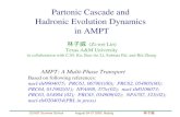 Partonic Cascade and  Hadronic Evolution Dynamics  in AMPT