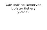 Can Marine Reserves bolster fishery yields?