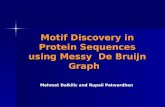 Motif Discovery in Protein Sequences using Messy  De Bruijn Graph