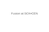 Fusion at SCK•CEN