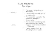 Cute Martens   By:Niya