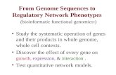 From Genome Sequences to Regulatory Network Phenotypes