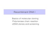 Recombinant DNA I