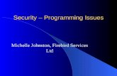 Security – Programming Issues