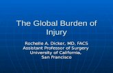 The Global Burden of Injury