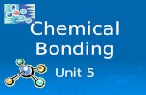 Chemical Bonding Unit 5