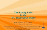 The Living Labs  in the  EU Innovation Policy
