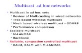 Multicast  ad hoc networks