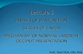 Lecture 5 PHASES OF PARTURITION STAGES OF LABOR MECHANISM OF NORMAL LABOR IN  OCCIPUT PRESENTATION