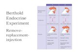 Berthold Endocrine Experiment Remove- replacement-injection