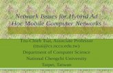 Network Issues for Hybrid Ad Hoc Mobile Computer Networks