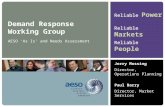 Demand Response  Working Group
