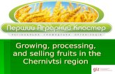 Growing, processing,  and selling fruits in the Chernivtsi region