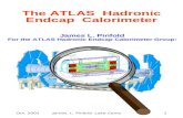 The ATLAS  Hadronic Endcap  Calorimeter