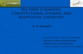 POLYMER DYNAMERS,  CONSTITUTIONAL DYNAMIC AND  ADAPTATIVE CHEMISTRY