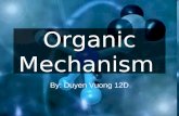 Organic Mechanism