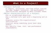 What is a Project?
