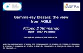 Gamma-ray blazars: the view  from AGILE