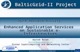 Joint Research Activity Enhanced Application Services  on Sustainable e-Infrastructure