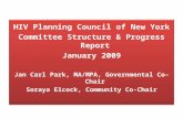 HIV Planning Council of New York Committee Structure & Progress Report January 2009