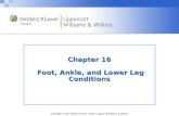 Chapter 16  Foot, Ankle, and Lower Leg Conditions
