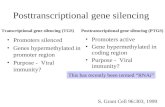 Posttranscriptional gene silencing