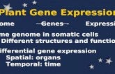 Plant Gene Expression