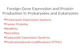 Foreign Gene Expression and Protein Production in Prokaryotes and Eukaryotes