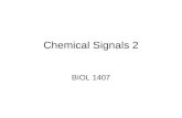 Chemical Signals 2
